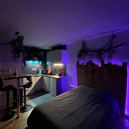 Au Cosy Studio I Proche Europapark Erstein Buitenkant foto