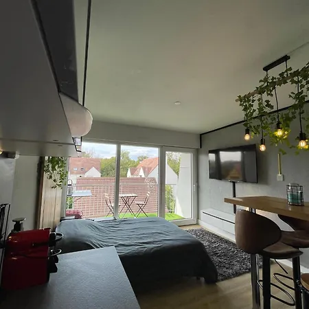 Au Cosy Studio I Proche Europapark Erstein Buitenkant foto